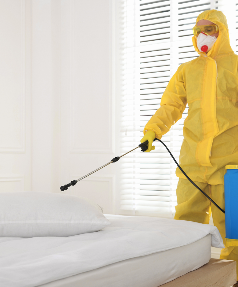 Professional Pest Control Team in Coromandel Valley